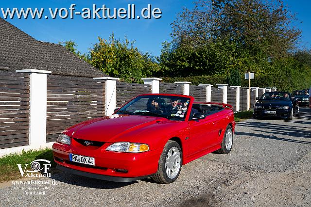 C-So-Foto Laudi -352.jpg